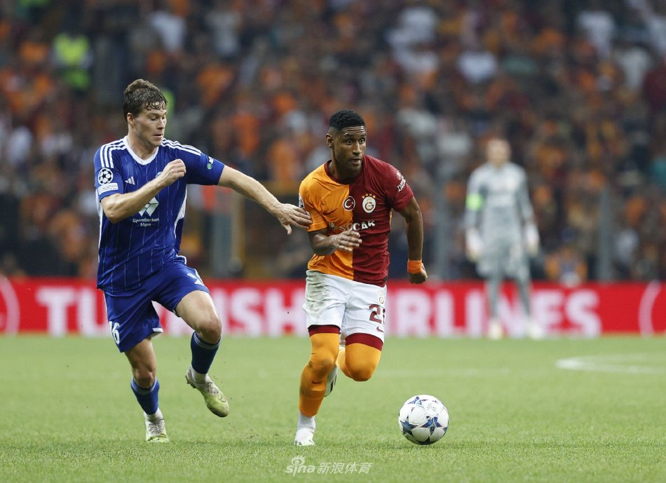 以其顽强的 以其顽强的